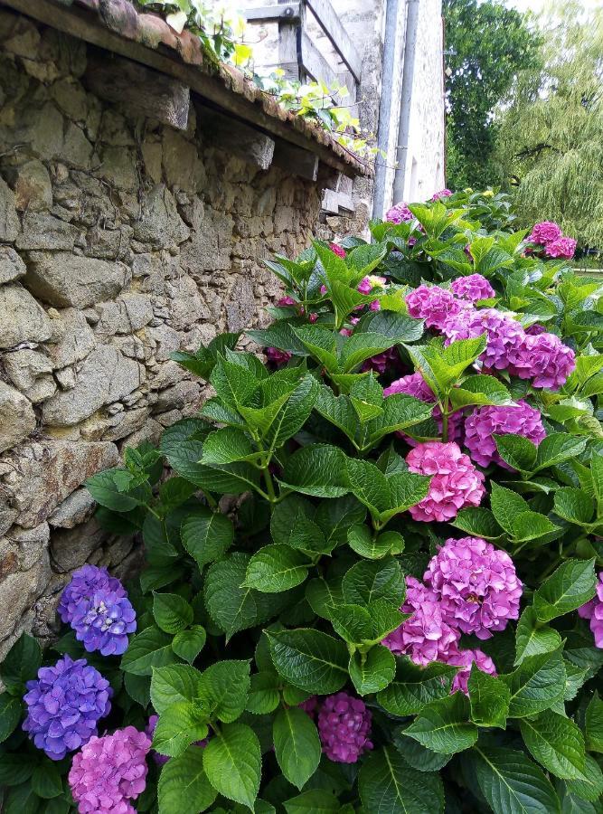 Chambre D'Hotes La Bardiniere Le Poiré-sur-Vie 外观 照片